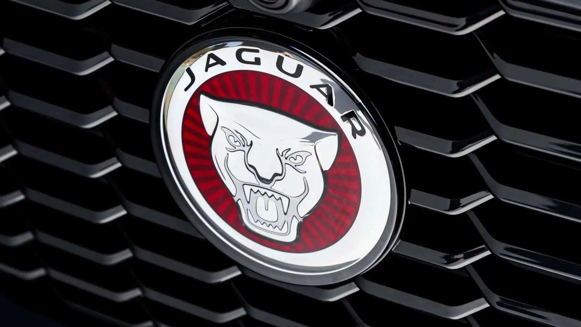 jaguar-opinion-lead-logo