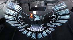 pontiac fire bird decal 1