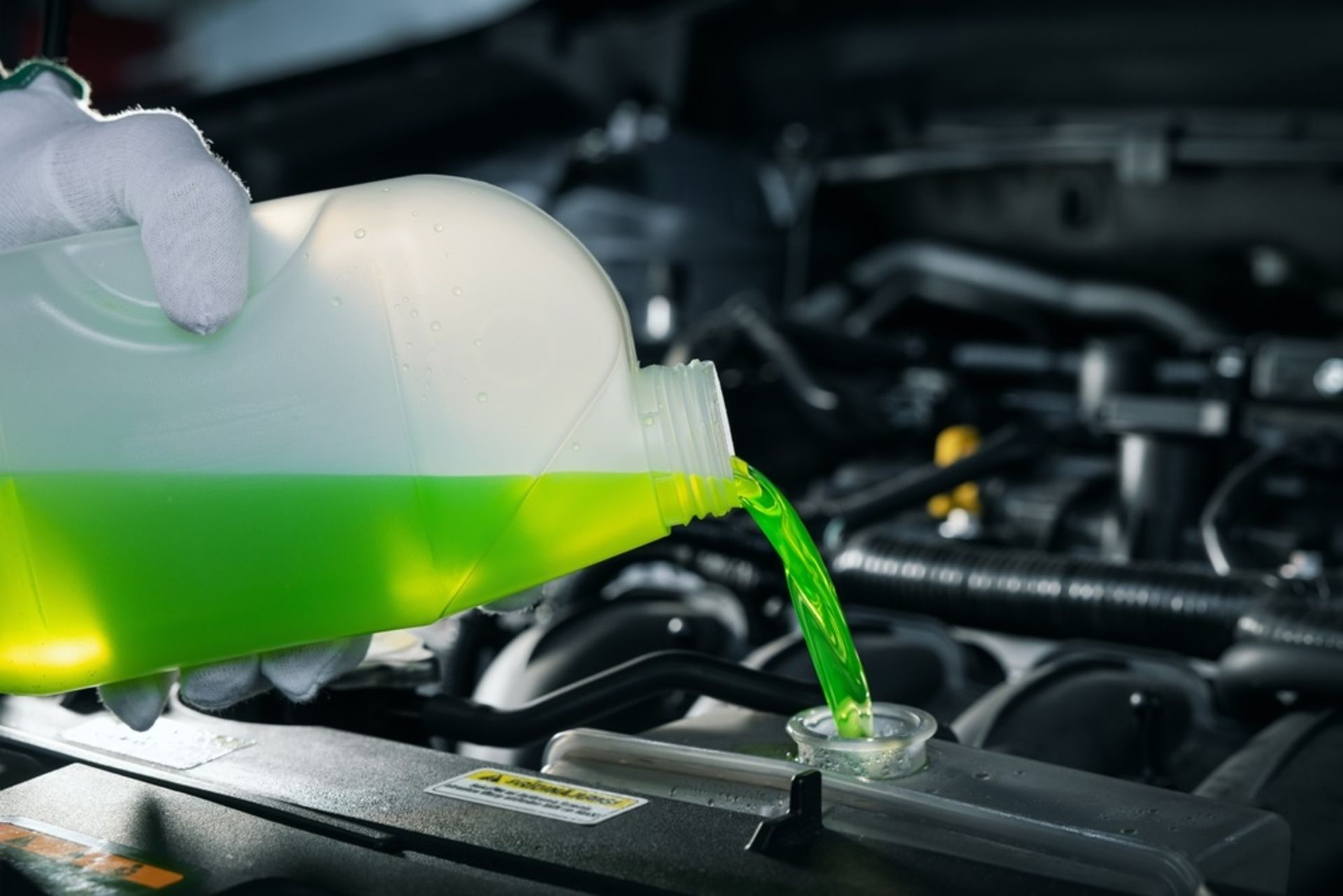 Pouring,Antifreeze,Coolant,Liquid,Into,Car,Engine,Radiator