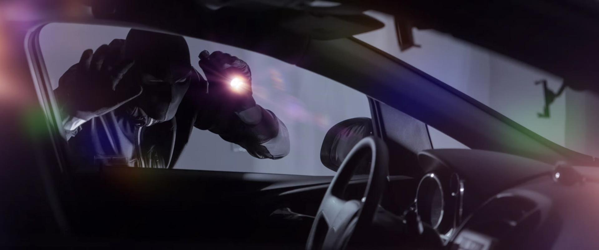 vehicle-theft