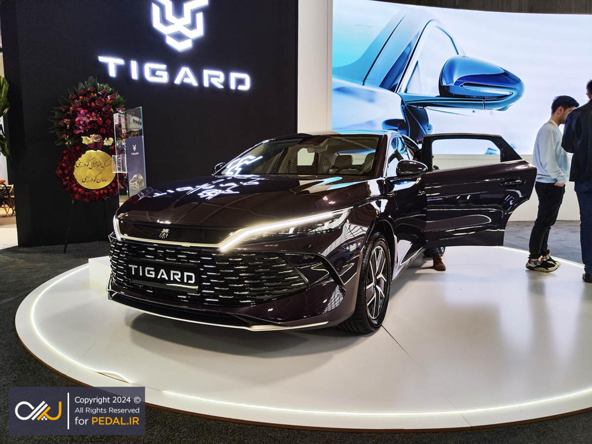 tigard dm1 (4)
