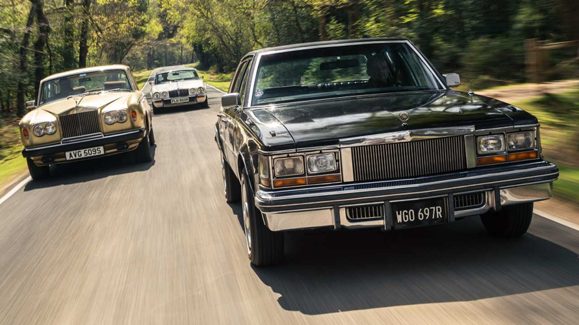 Luxury-Senans-1