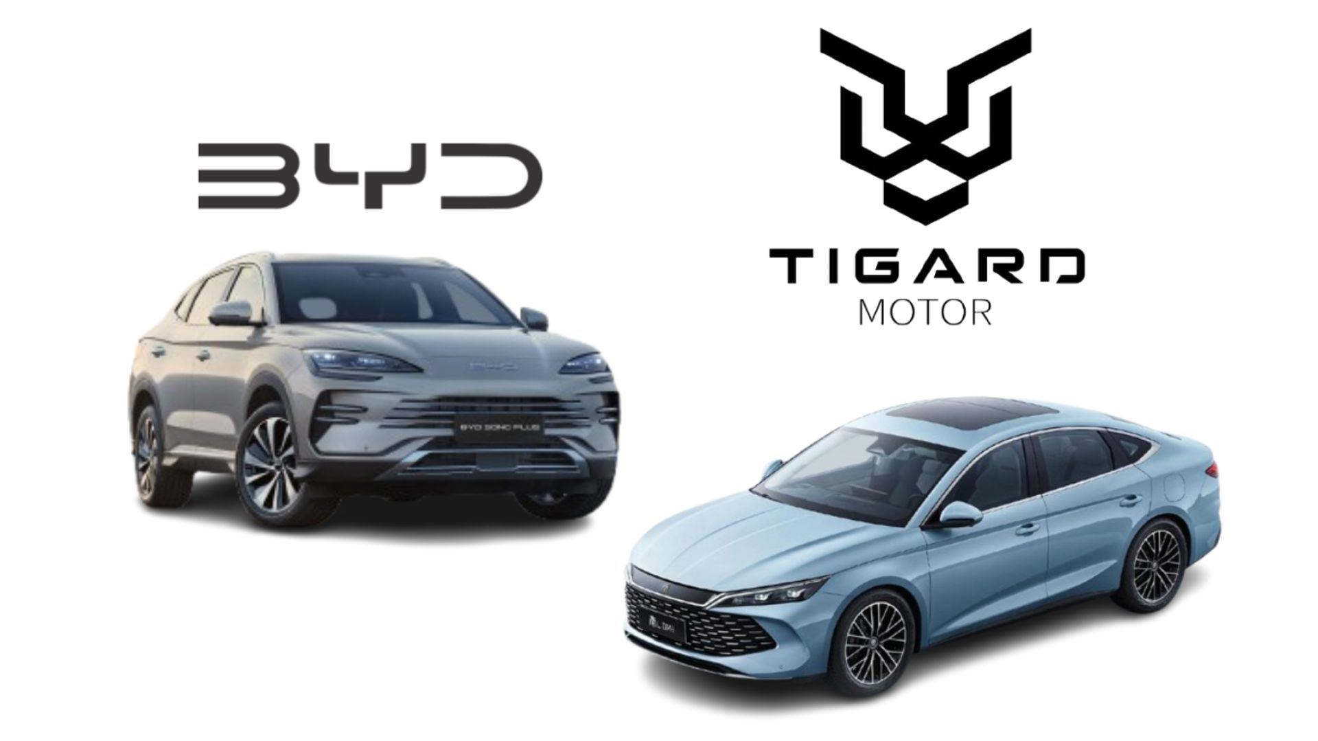 tigard-byd-sale