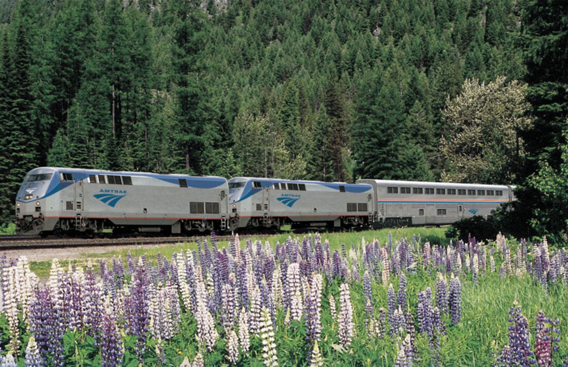 Train ticket travel 1