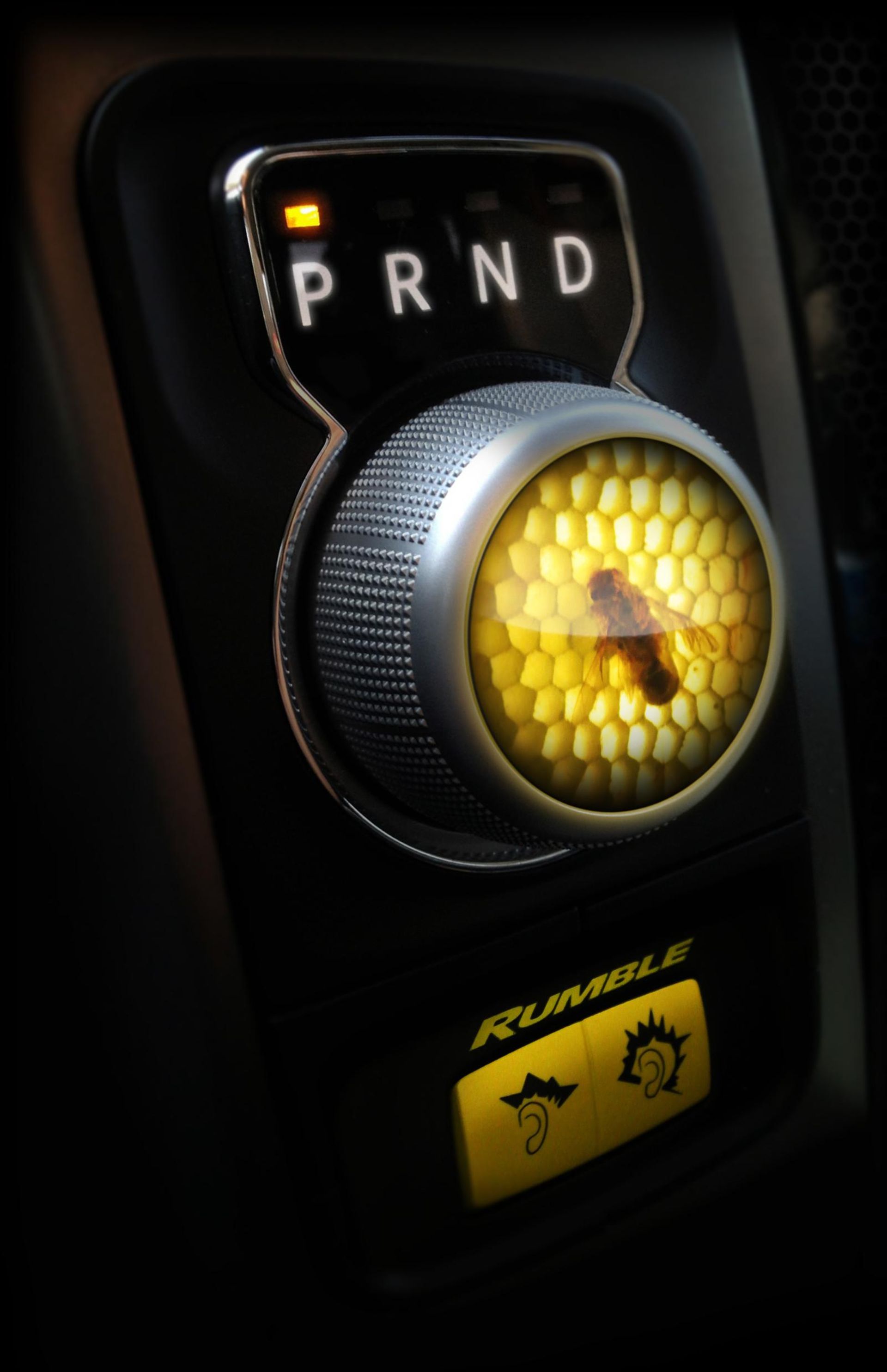  1500 Rumble Bee Concept