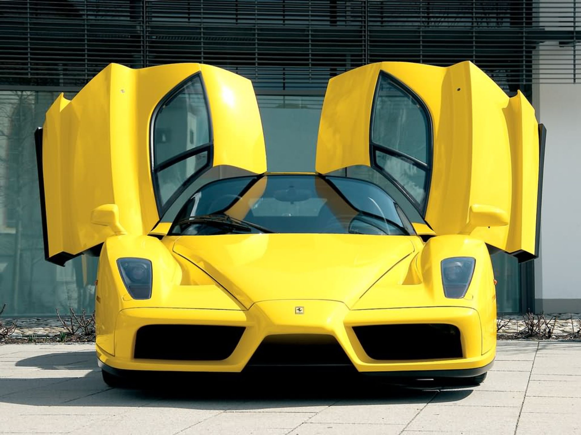 Enzo Ferrari 
