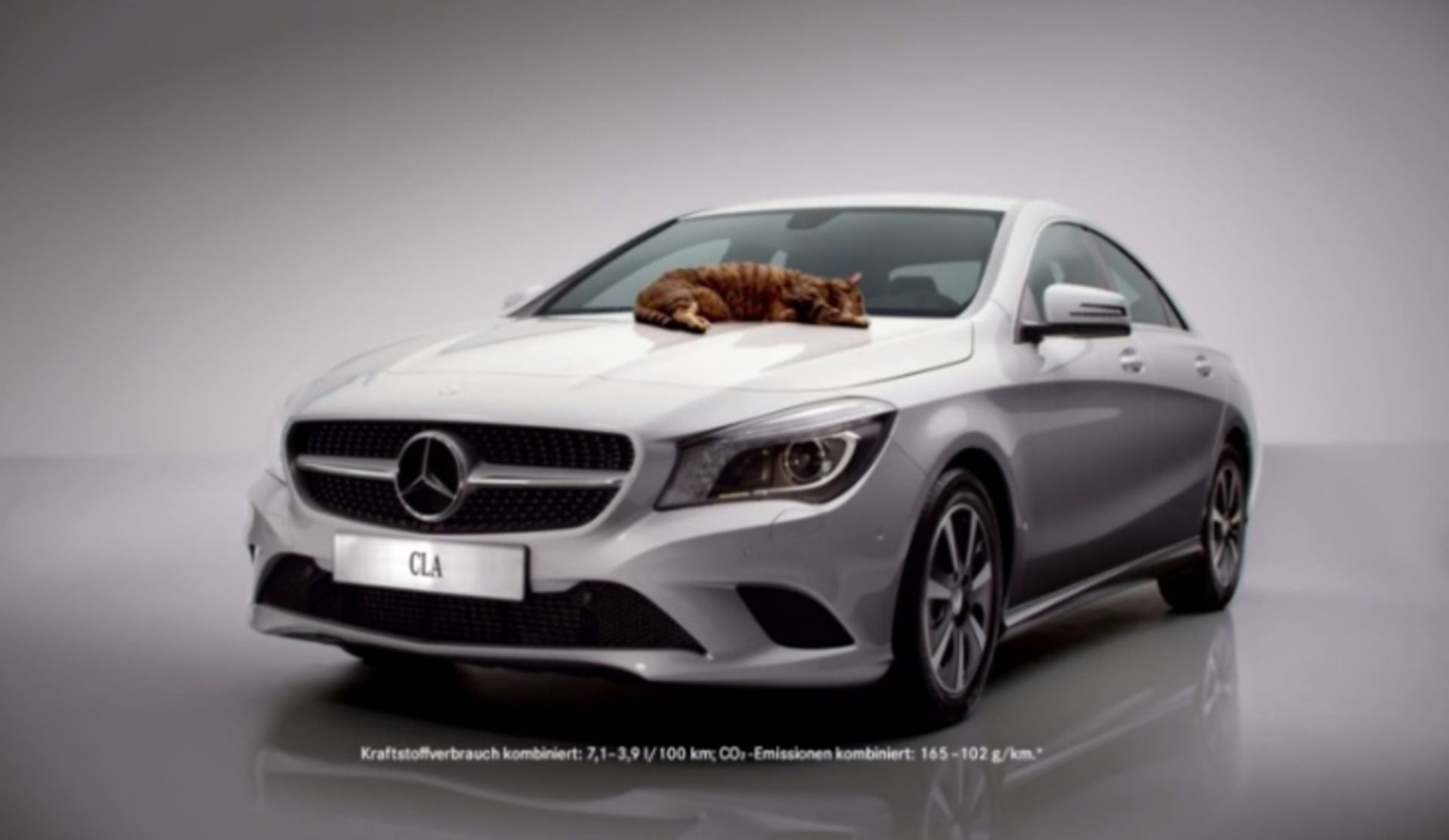 mercedes-benz-cla-cat-commercial-meows-in-germany-video