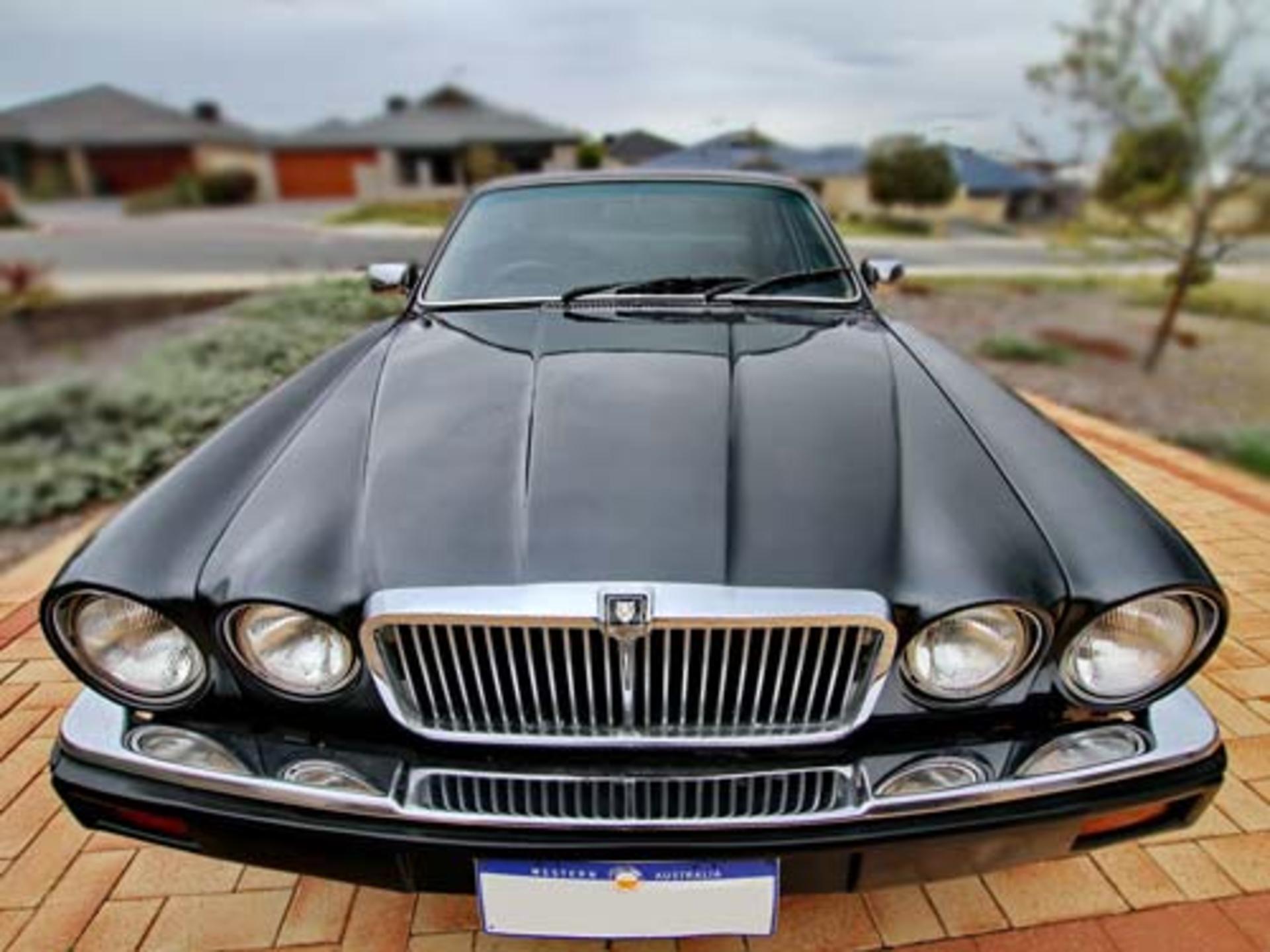 xj6_jaguar_1986