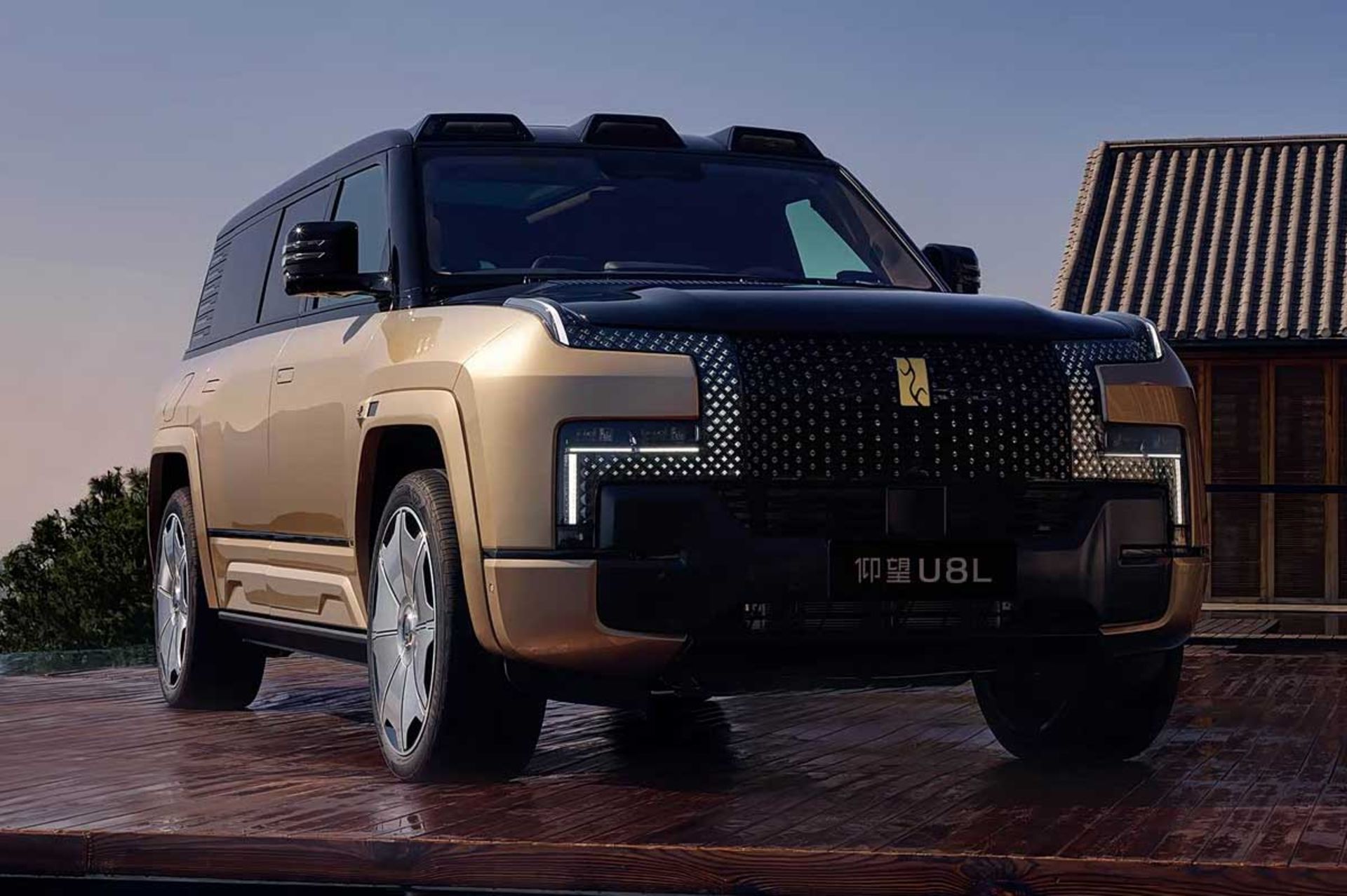 بی‌وای‌دی یانگ‌وانگ U8L