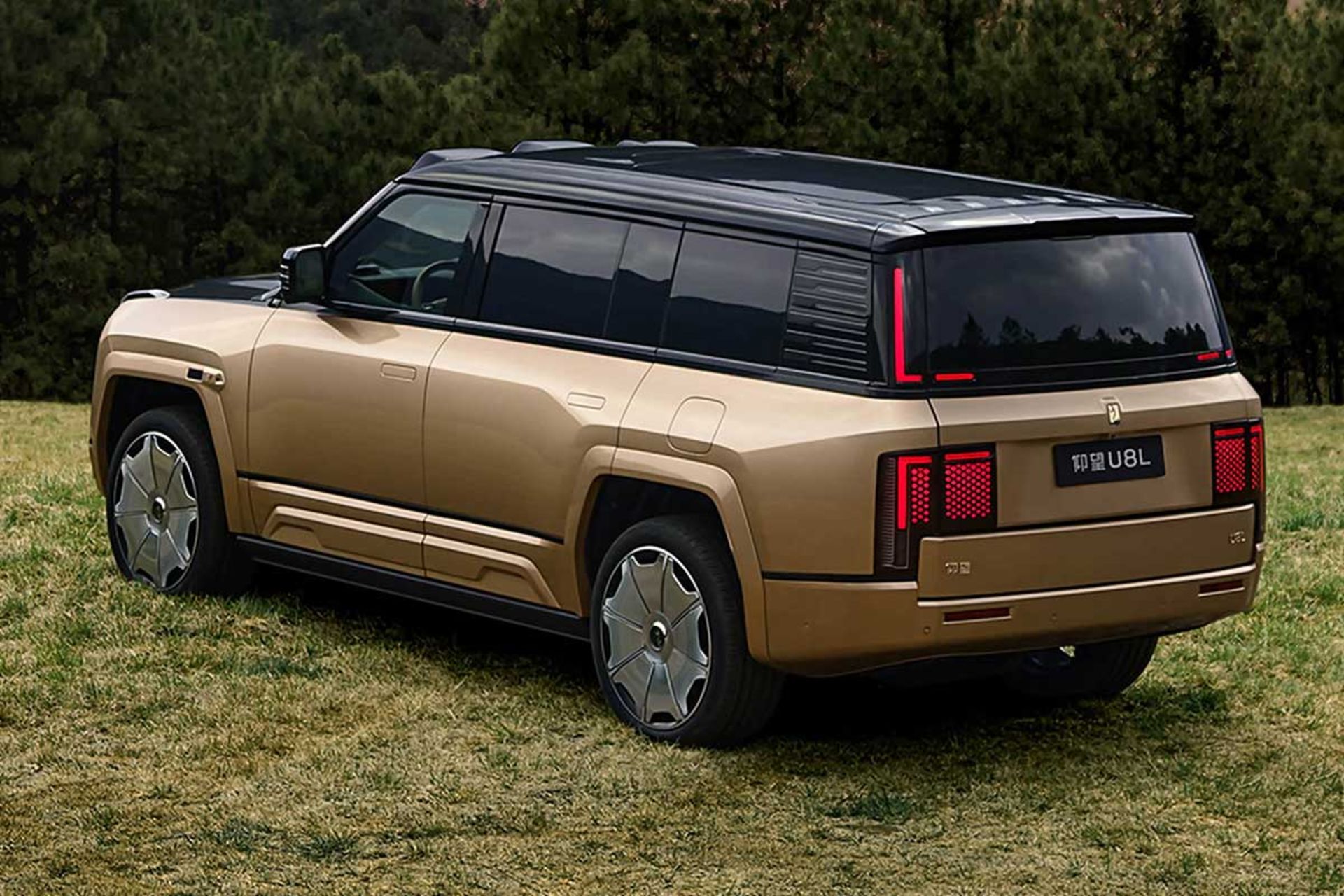 بی‌وای‌دی یانگ‌وانگ U8L
