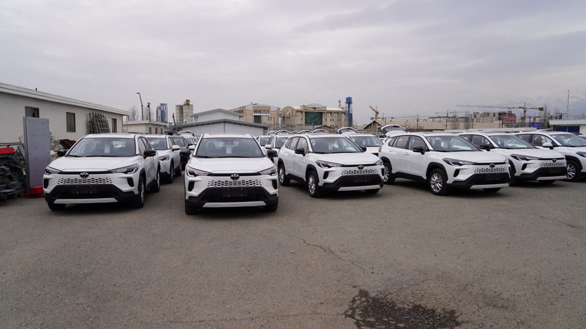 تحویل تویوتا کرولا کراس نیو فیس گروه خودرویی تاو