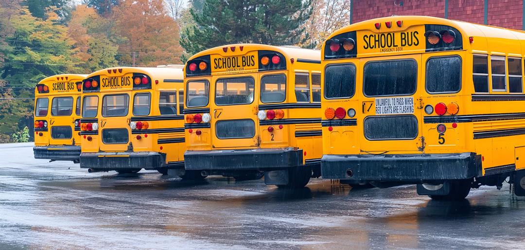 اتوبوس‌های زرد مدرسه (School Bus) در یک پارکینگ باز در فضای باز